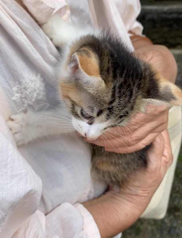 母に抱っこされる凜ちゃん